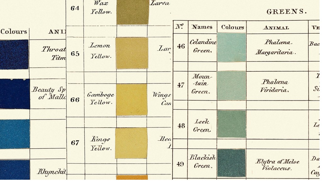 The Impact of Werner’s Nomenclature on Design