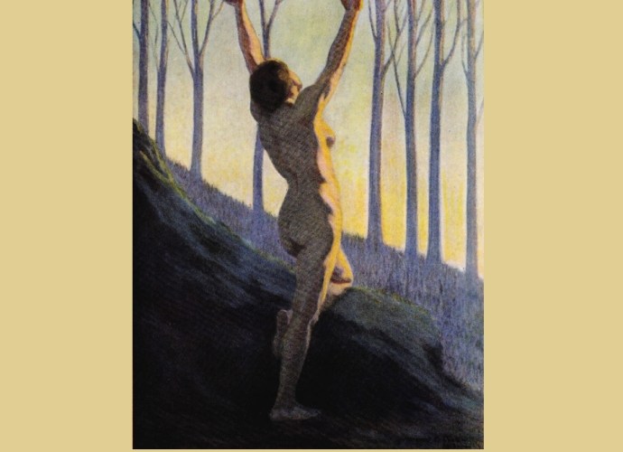 Walt Whitman Illustrations