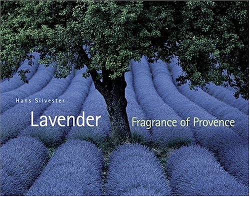 Lavender: Fragrance of Provence