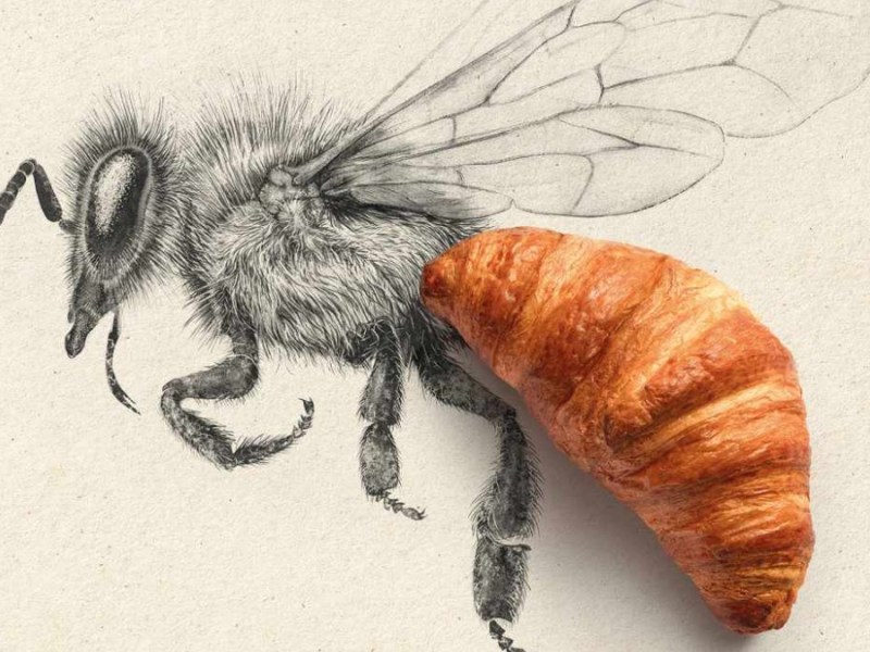 Bio Suisse: It’s All Connected, 3 💚