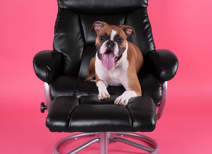 Flash Furniture Barker Contemporary Multi-Position Recliner and Ottoman with Metal Base in Black LeatherSoft