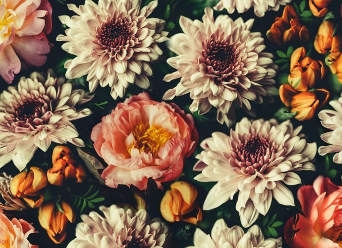 Wallpaper - featured image