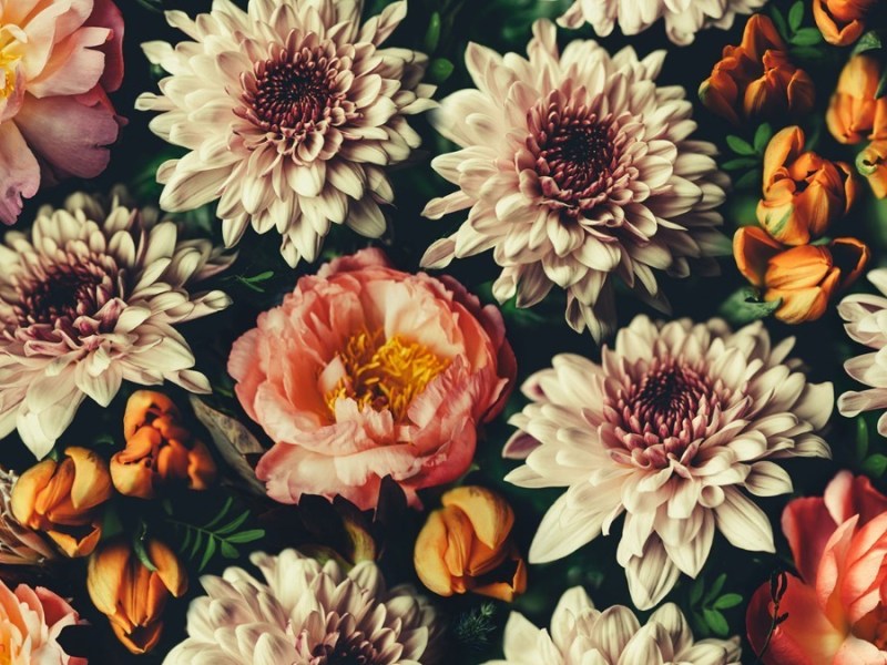 A Short History of Wallpaper