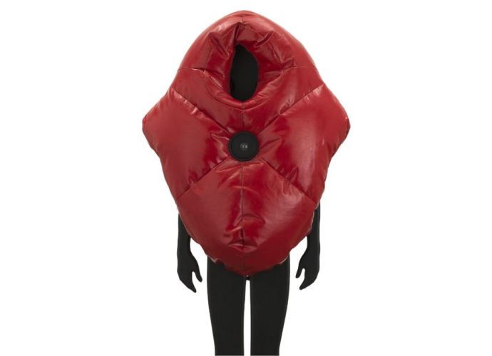 Civil Disobedience Suit