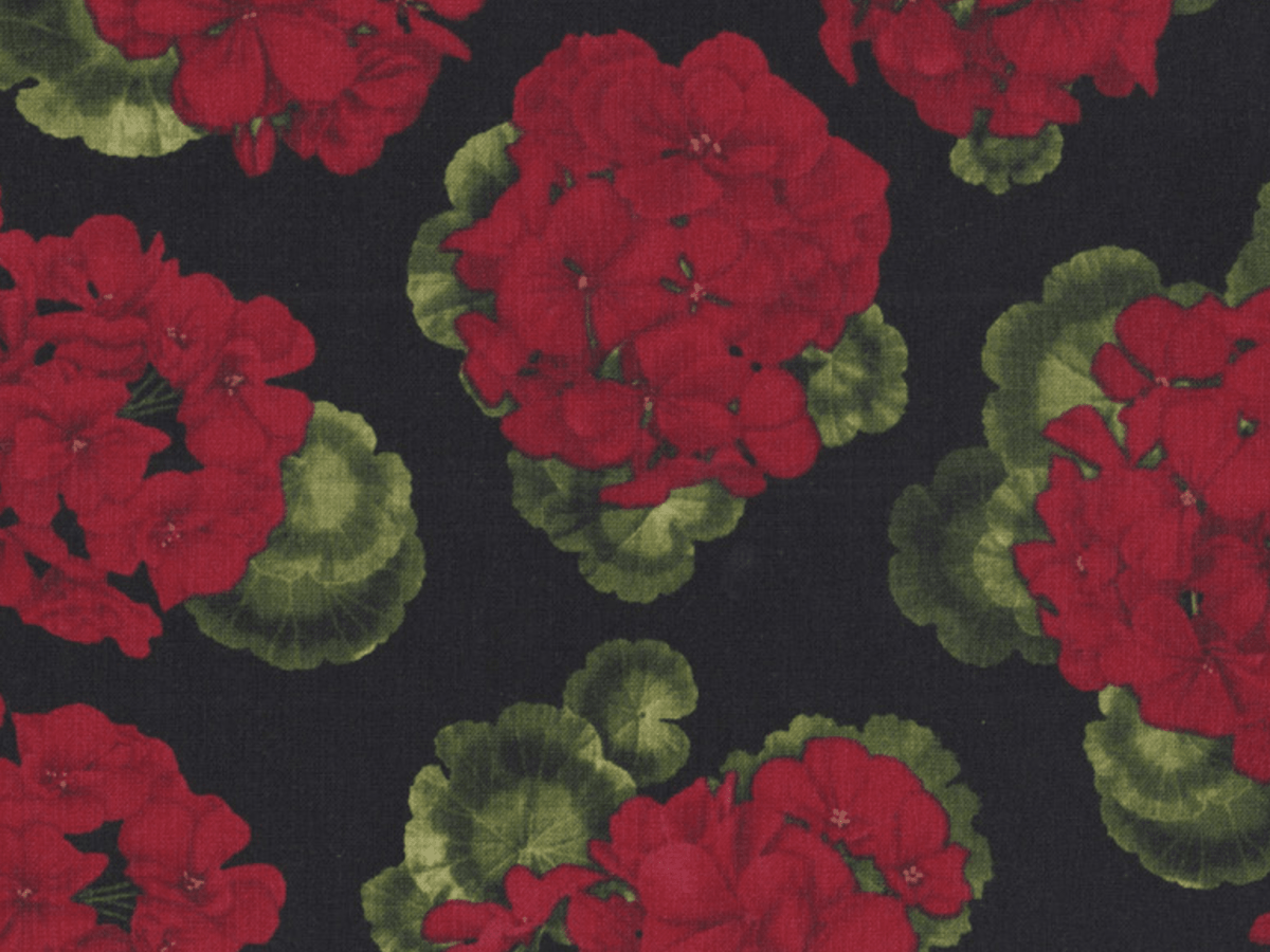 The Vibrant Appeal of Geraniums in Design