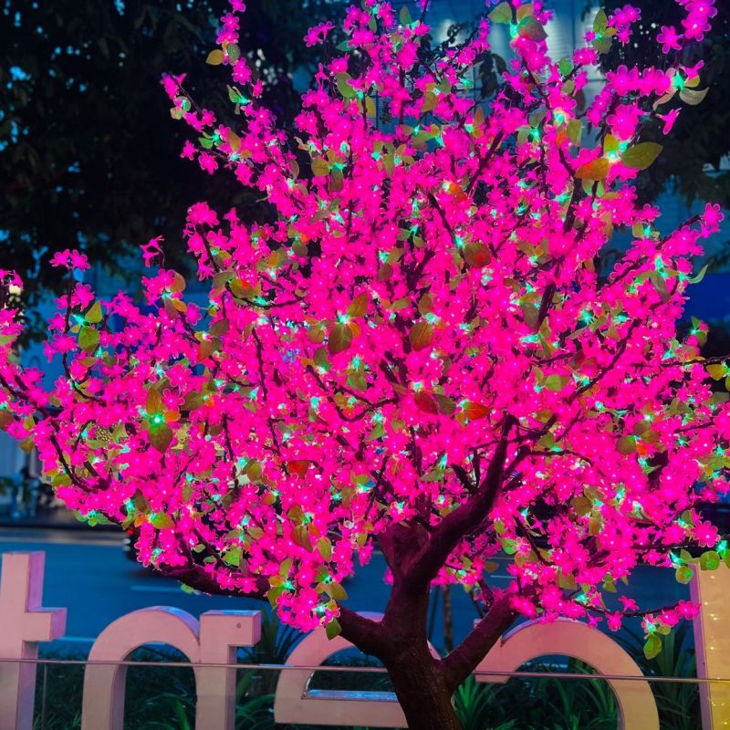 Illuminating Tradition: The Fusion of Modern Design in Singapore