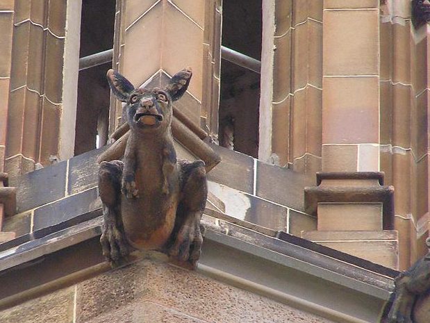 Close-up of Kangaroo Gargoyle at Sydney University