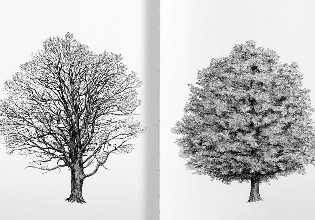 The Architecture of Trees by Cesare Leonardi and Franca Stagi