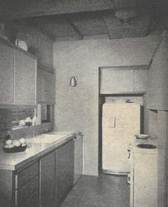 Mid-century modern kitchen with compact layout, integrated appliances, and shared storage partition in 1956 Household Home 601