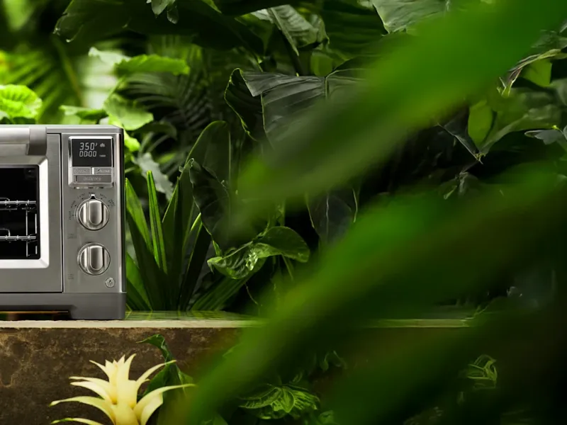 Lotus Cooking: Thoughtfully Cultivated Culinary Ambition